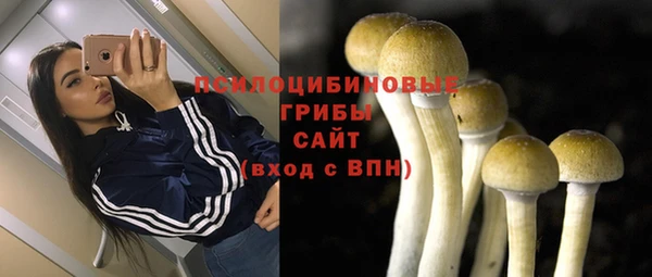 мяу мяу мука Баксан