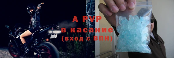 мяу мяу мука Баксан