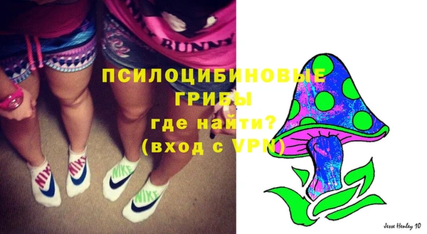 мяу мяу мука Баксан