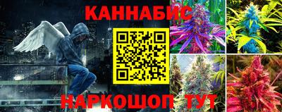 МДПВ Пугачёв
