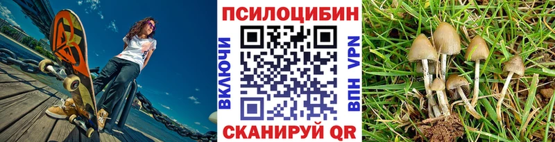 купить   площадка состав  Галлюциногенные грибы мухоморы  Унеча 
