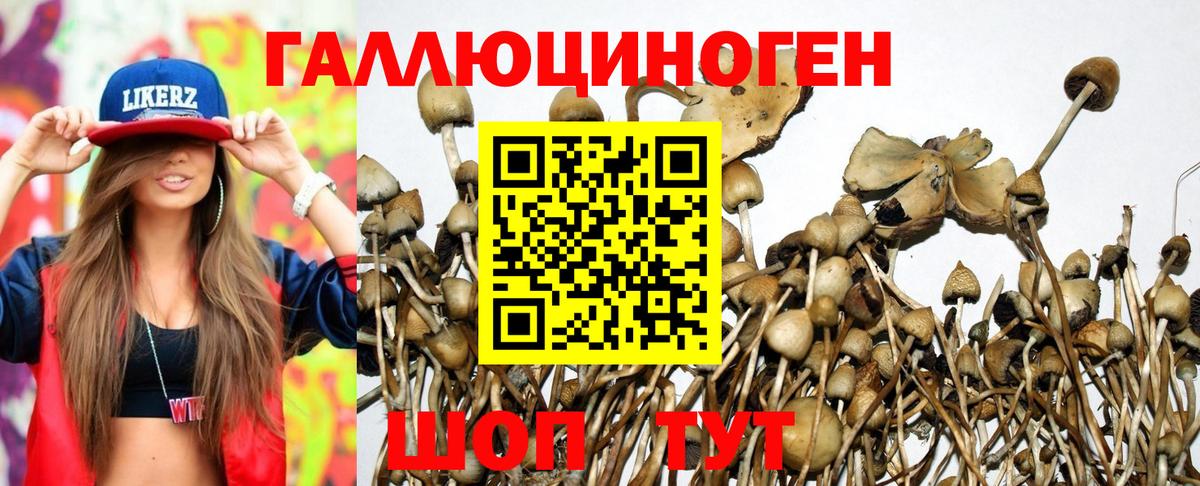 Псилоцибиновые грибы прущие грибы Унеча